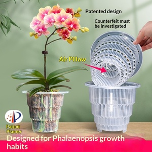 <span class=keywords><strong>Pot</strong></span> <span class=keywords><strong>de</strong></span> culture rigide transparent et respirant pour orchidées Phalaenopsis et mousse, style minimaliste Meishi, pour contrôle des racines, vente en gros transfrontalière - Product Image 5
