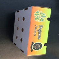 Zoete Verse Pitahaya Fruit Verzending Kartonnen Verpakking Verpakking Dragon Fruit Export Dozen Dozen Doos Voor Vers Fruit