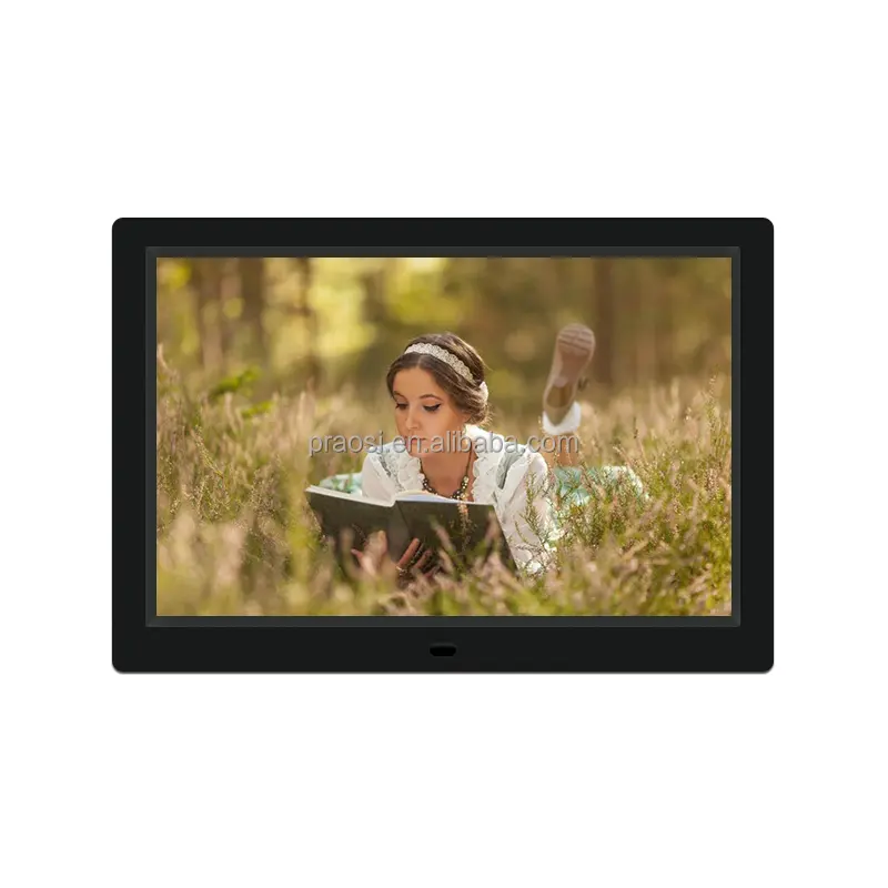 PROS Wall Mount higl quality 12 inch usb rohs rechargeable digital photo pictures frame lcd screen large 12" inch