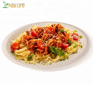 9 Inch White Round Party Corn Starch Food Disposable Biodegradable Plates - Product Image 4