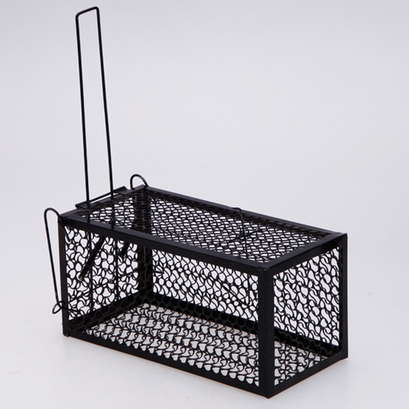 nylon snare for birds