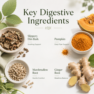 Großhandel: Verdauungskomfort-Pulver für Haustiere – Botanische Mischung für empfindliche Mägen – Nahrungsergänzungsmittel für die Darmgesundheit von Hunden mit Ingwerwurzel - Product Image 4