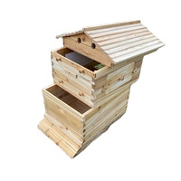 Nouvelle ruche automatique 2025 à vendre – Ruche en bois à alimentation automatique, directement de l'usine, meilleur prix