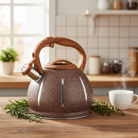 Bouilloire sifflante moderne en acier inoxydable pour la maison et le camping, capacité de 2 L, 2,5 L, 3 L, fond à induction