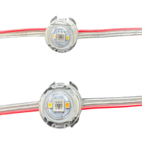 50 Pixels DC12V WS2805 RGBIC + CCT 5 couleurs 2cm Module LED adressable rond 3Pin fil clair