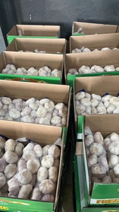 All'ingrosso nuovo fornitore di aglio fresco normale aglio bianco alho ail G1 produttore di buona qualità jinxang ajo - Product Image 6
