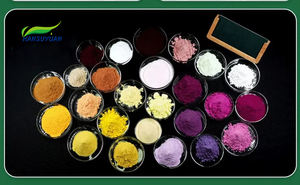 Extrait de figue naturelle de haute qualité/<span class=keywords><strong>Ficine</strong></span>/poudre d'extrait de Ficus Carica - Product Image 2