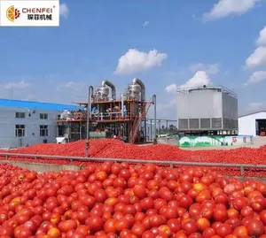 CE-Standard industrielle Tomatenketchup-Produktionslinie Tomatenpürée-Herstellungsmaschine