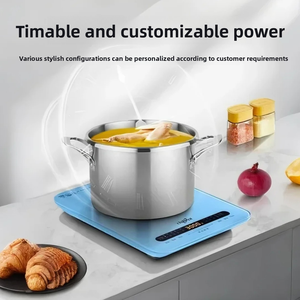 Baru 2025 Cooktop-40mm induksi elektrik Ultra tipis Slim bayi biru Portable Single Burner 110V kontrol sentuh untuk disertifikasi - Product Image 5