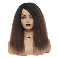Perruque afro synthétique pas cher résistant à la chaleur Faux Locs Transparent Elastique Mesh Cap Kinky Twist Big Afro Perruques pour les femmes