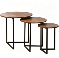 Ensemble de tables d'appoint multifonctionnelles en fer forgé moderne pour salon - Écologique, facile à nettoyer, avec rangement