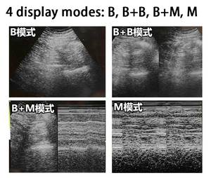 Veterinaire Boerderij Scan Echografie Dier Zwangerschap <span class=keywords><strong>Test</strong></span> Paardenkoe Echografie Scanner <span class=keywords><strong>Machine</strong></span> - Product Image 5