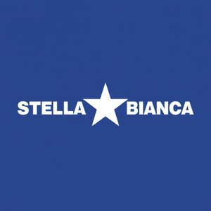 Stella bianca 40mm elettrolitica diamante nucleo punta per il modello di 067040 in muratura e calcestruzzo - Product Image 1