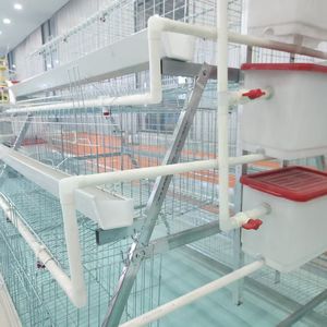 Chất lượng cao một loại lớp gà lồng thiết bị nông trại pin gia cầm lồng Gà nhà đẻ gà - Product Image 5