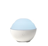 Diffuseur ultrasonique d'huiles essentielles et d'arôme en verre décoratif, dispositif électrique pour la maison, avec lumière chaude, désodorisant personnalisé, 100ml, offre spéciale