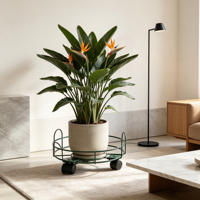 Plateaux de rangement modernes en fer, support pour plantes, noir, imperméable, écologique, durable, pour la maison, le salon, la cour, le restaurant, décoration