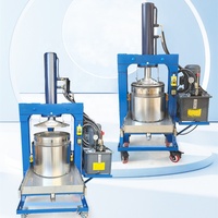 Presse à jus hydraulique automatique en acier inoxydable industriel pour jus de fruits, jus de raisin, vin, presse à froid pour jus