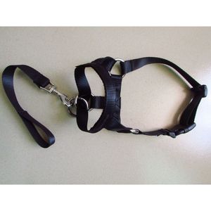 <b>Dog</b> <b>Muzzle</b> Leash Adjustable Black Size S M L XL XXL For Training Walking Pet Supplies - Product Image 4