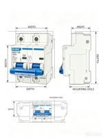Interruptor Automático Miniatura DZ47 125 2P 125A, Montaje en Riel DIN, Protección Contra Sobrecarga y Cortocircuitos, para Caja de Distribución