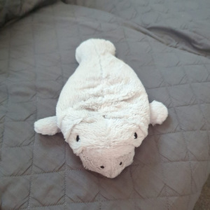 Tùy chỉnh manatee với bé sang trọng Thú nhồi bông đồ chơi tùy chỉnh màu xám bò biển búp bê - Product Image 5