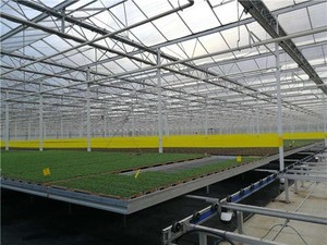 Agriculture Fixed <strong>Benches</strong> for Nursery for <strong>Greenhouse</strong> - Product Image 5
