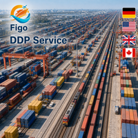 Transitaire ferroviaire professionnel de Chine vers l'Europe (Allemagne, Royaume-Uni) – Ligne directe porte-à-porte, livraison ferroviaire DDP, agent maritime