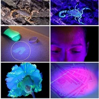 Lampe torche UV industrielle rechargeable USB 365nm en aluminium pour la détection des taches d'urine de chien, des taches d'animaux domestiques et des punaises de lit