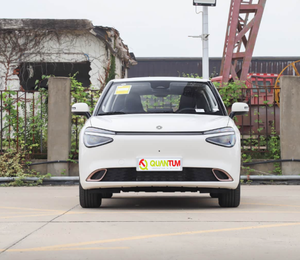 Nano 01 2026 330KM Plus Edition: Veicolo Elettrico Nuova Energia in Offerta Speciale, Design Accattivante, Conveniente, Facile da Guidare, Auto per Pendolari ad Alto Valore - Product Image 2