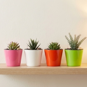 Decorative Desktop Plastic Self-Watering Flower Planter Pots for Succulents Herbs Orchids with Visual Water Indicator size 18 - Product Image 1