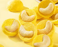 Gefreeze-droogde mango's en cashewnoten, gesneden en klaar om te eten, snackchips, fruit, bulkverpakking, ODM fabriek ZHONGBAO