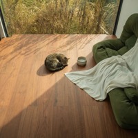 Plancher stratifié en bouleau massif finition mate anti-décoloration, dimensions 1210x190x14mm, pour extérieur, centre de séjour pour animaux, salle d'activités