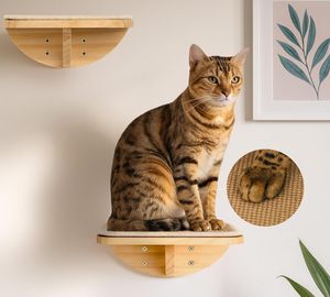Arbre à chat mural en bois écologique au design moderne, motif végétal, pour grimper, sauter et s'asseoir - Product Image 3