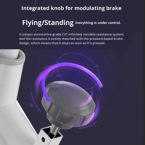 Vélo d'appartement en acier pour l'exercice à domicile, fonctionnement silencieux, surveillance de la fréquence <span class=keywords><strong>cardiaque</strong></span>, capacité de 100 kg, cadeau transfrontalier - Product Image 6