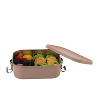 Boîte à bento en acier inoxydable 304 étanche avec 2 compartiments, stockage des aliments en métal avec séparateur amovible