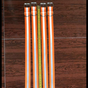 Collar de entrenamiento para perros, reflectante, seguridad nocturna, de lujo, diferentes tipos, nuevos productos - Product Image 2