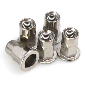 <span class=keywords><strong>Ss304</strong></span> Thép Không Gỉ Giảm Hex Head-Bên Trong Hex Đinh Tán NUT - Product Image 4