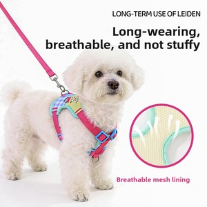 Nouvelle laisse rétractable pour <span class=keywords><strong>chien</strong></span>, <span class=keywords><strong>harnais</strong></span> de poitrine en forme de I pour promenade, vente en gros transfrontalière - Product Image 5