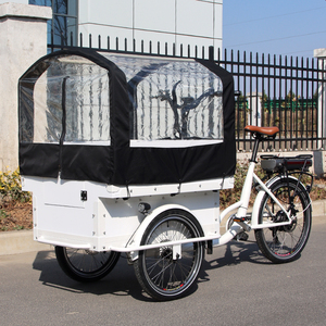 Bicicleta Eléctrica <span class=keywords><strong>de</strong></span> Carga con Puerta Frontal Abatible, Bicicleta <span class=keywords><strong>de</strong></span> Carga Resistente <span class=keywords><strong>de</strong></span> 3 Ruedas, Bicicleta Eléctrica <span class=keywords><strong>de</strong></span> Carga/Bakfiets/Cargobike, Remolque <span class=keywords><strong>de</strong></span> Bicicleta Eléctrica <span class=keywords><strong>de</strong></span> Carga - Product Image 1