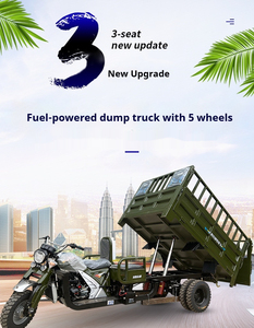 Ba chỗ ngồi chạy bằng nhiên liệu năm bánh ba bánh xe chở hàng ba bánh xe làm mát bằng nước với tải nặng ba bánh - Product Image 6