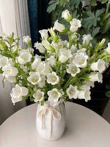 ช่อดอกไม้ผ้าไหม Yunnan Kunming สีม่วงสีขาวสำหรับการจัดบ้านสำหรับตรุษจีน - Product Image 6