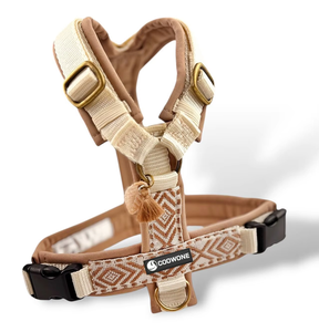 OEMカスタムパターンY字型犬用ハーネス、ノープル、通気性、ソフトパッド入りペットハーネス、調節可能、耐久性のある犬用リードハーネスセット - Product Image 2