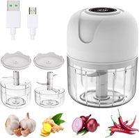 Hete Aanbieding Draagbare Elektrische Mini Knoflookpers van Voedselveilige Kwaliteit met USB Oplading