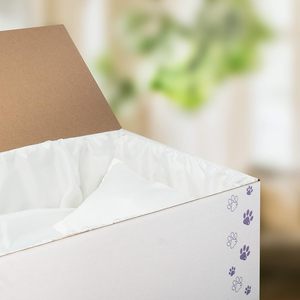 Le cercueil <span class=keywords><strong>pour</strong></span> animaux de compagnie de pont arc-<span class=keywords><strong>en</strong></span>-ciel écologique <span class=keywords><strong>en</strong></span> <span class=keywords><strong>carton</strong></span> peut contenir des animaux pesant de 10 à 25 livres <span class=keywords><strong>pour</strong></span> le transport funéraire ou la <span class=keywords><strong>crémation</strong></span> - Product Image 5