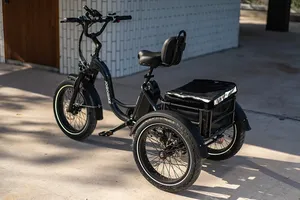 จักรยานสามล้อ EU USA Warehouse Bike Triker ระบบป้องกันการลื่นไถล แบตเตอรี่เกรดพรีเมียม มอเตอร์ 5 แรงม้า รับประกัน 5 ปี N38 แบตเตอรี่ LG 720Wh ใช้งานได้ยาวนาน - Product Image 4