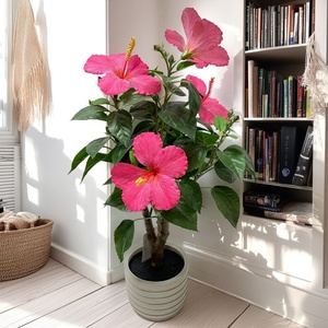 Plantes vertes artificielles élégantes <span class=keywords><strong>en</strong></span> vrac d'arbre d'hibiscus pour la décoration extérieure intérieure de haute qualité de la Chine pour les articles décoratifs de chambre - Product Image 1