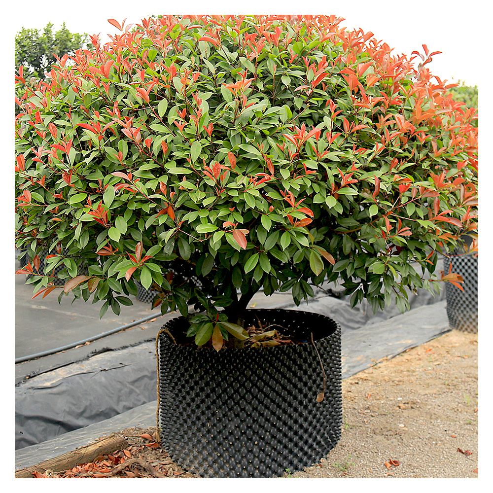 factory direct price 5 gallon plastic air prune plant root pot in roll