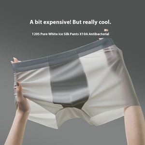 Nouvel arrivage de sous-vêtements pour hommes Caleçons respirants antibactériens en soie glacée pour hommes Caleçons en <span class=keywords><strong>nylon</strong></span> pour hommes Fournisseur OEM personnalisé - Product Image 2