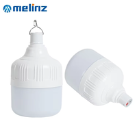 Lampe d'extérieur rechargeable par USB, LED, éclairage d'urgence, lampe de tente portable, lanterne à batterie, lumière de camping pour patio, véranda, jardin