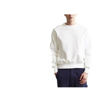 Sweat-shirts à capuche décontractés en coton 100% de haute qualité, 460 grammes, style ample, plusieurs couleurs, avec logo personnalisé en gros