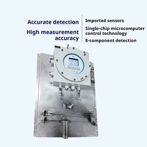 Analizador Multigas a Prueba de Explosiones Runlai E500Ex, Medidor de O2/CO/CO2/CH4/CnHm/H2S/H2/NH3, Personalizable, Alta Precisión, Metálico - Product Image 2